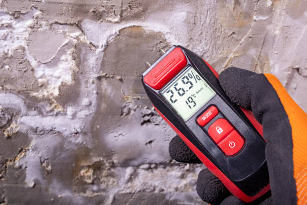 Professional Mold Removal in Warner Robins, GA