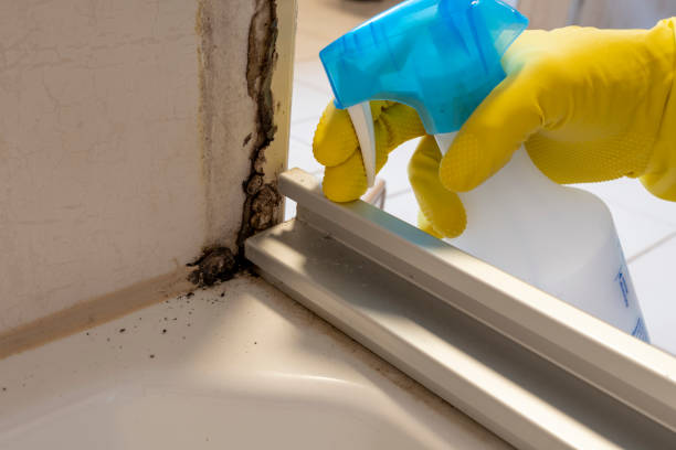 Best Mold Removal Company Near Me  in Warner Robins, GA