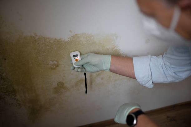 Best Office Mold Removal Services  in Warner Robins, GA