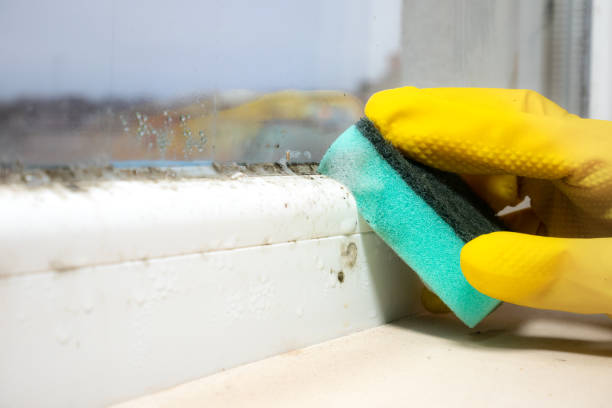 Water Damage Restoration in Warner Robins, GA