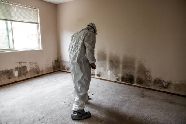 Best Mold Testing  in Warner Robins, GA