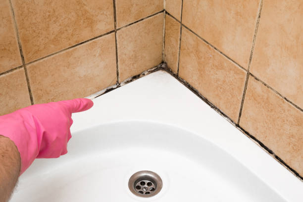 Best Mold Testing  in Warner Robins, GA